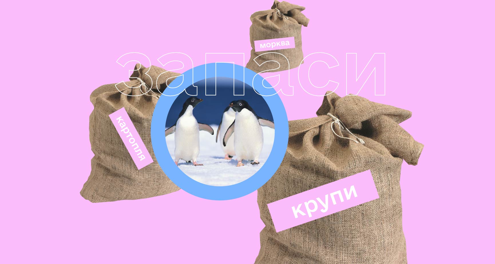 Лонгрід про антарктичну кухню-2